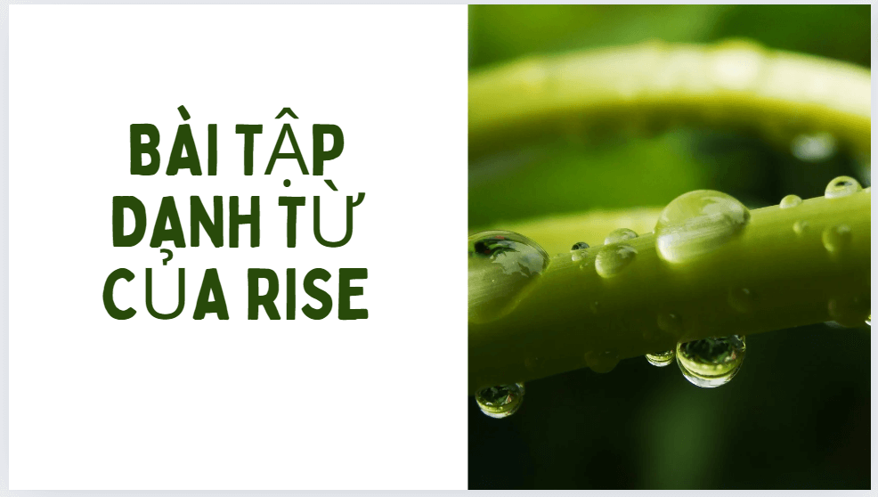 Bài tập danh từ của rise