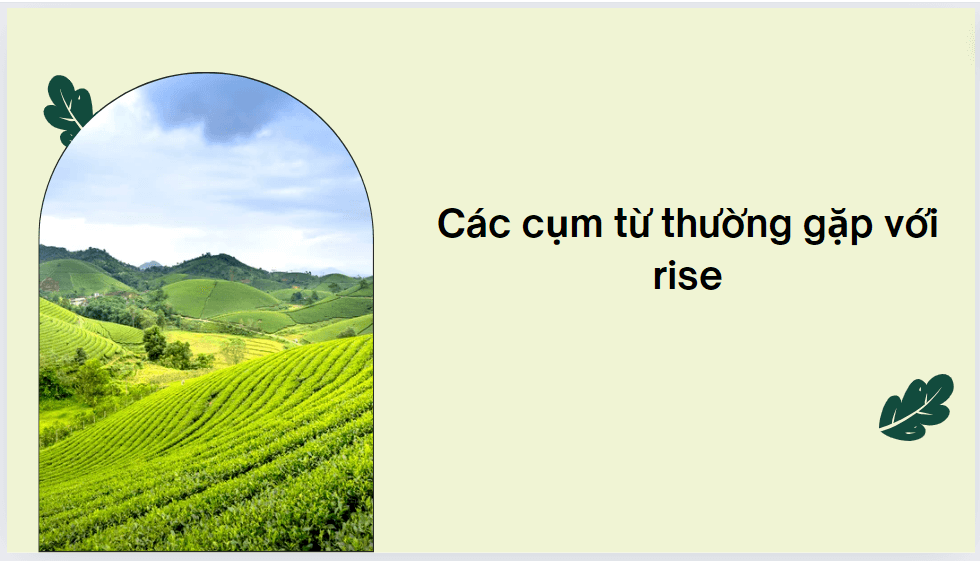 Các cụm từ thường gặp với rise