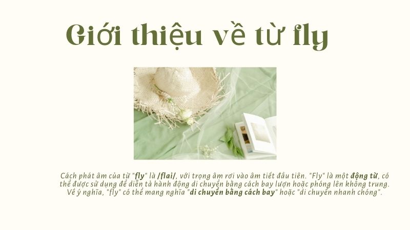 Giới thiệu về từ fly