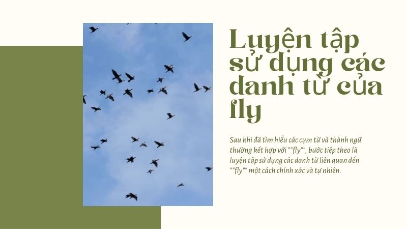 Luyện tập sử dụng các danh từ của fly