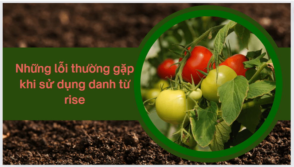 Những lỗi thường gặp khi sử dụng danh từ rise