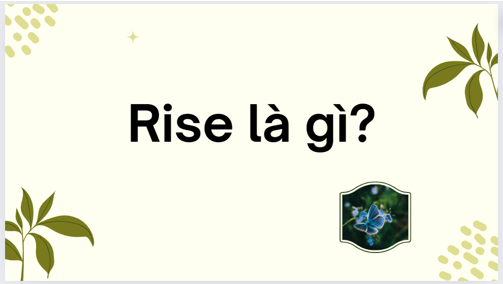 Rise là gì