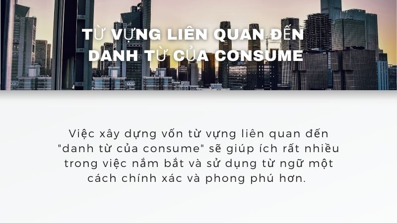 Từ vựng liên quan đến  danh từ của consume