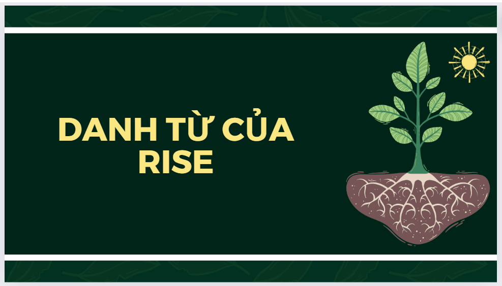 danh từ của rise