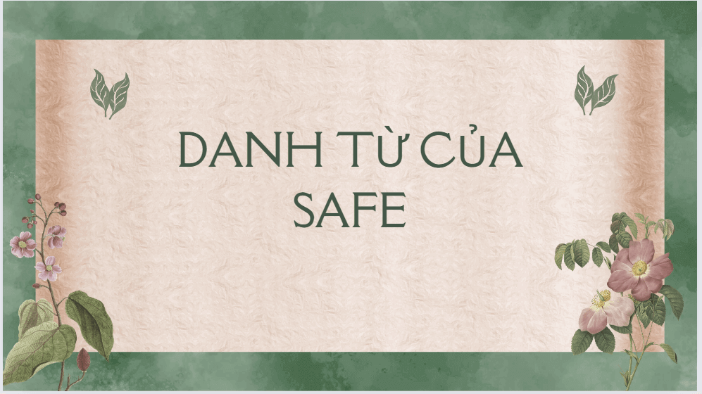 danh từ của safe